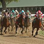 show bet horse racing